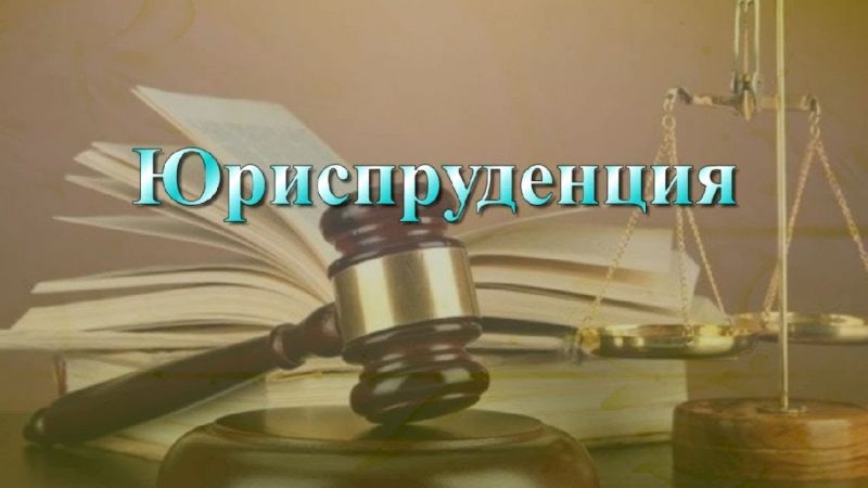 Институт правоведения уже рассмотрел более 200 законопроектов