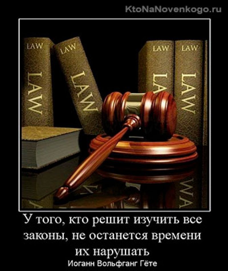 Подача на алименты онлайн: преимущества и особенности