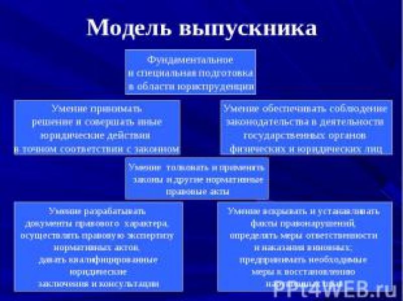 Куда подать заявление на алименты: полезная информация